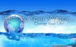 Change water change life!!!
